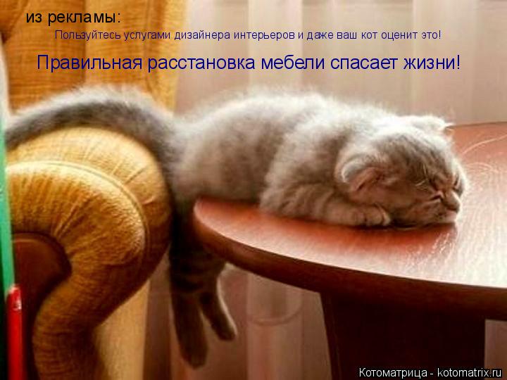 Котоматрица: из рекламы: Пользуйтесь услугами дизайнера интерьеров и даже ваш кот оценит это! Правильная расстановка мебели спасает жизни!