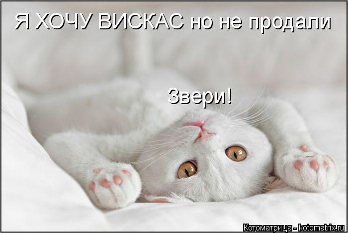 Котоматрица: Я ХОЧУ ВИСКАС но не продали Звери!