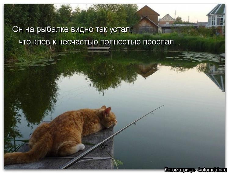 Котоматрица: Он на рыбалке видно так устал, что клев к несчастью полностью проспал...