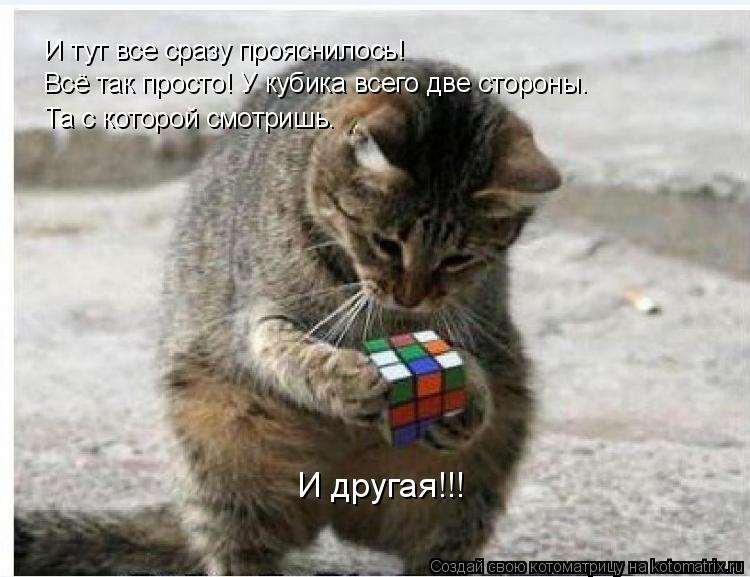 И тут все сразу прояснилось! Всё так просто! У кубика всего две стороны. Та с которой смотришь. И дру... Котоматрица: И тут все сразу прояснилось! Всё так просто! У кубика всего две стороны. Та с которой смотришь. И другая!!!