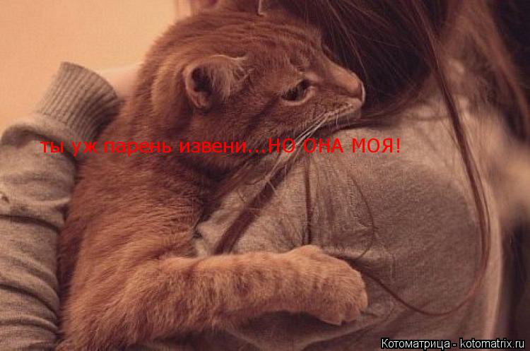 ты уж парень извени...НО ОНА МОЯ!... Котоматрица: ты уж парень извени...НО ОНА МОЯ!