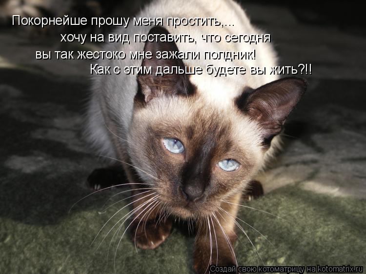 Покорнейше прошу меня простить,... хочу на вид поставить, что сегодня вы так жестоко мне зажали полдн... Котоматрица: Покорнейше прошу меня простить,... хочу на вид поставить, что сегодня вы так жестоко мне зажали полдник! Как с этим дальше будете вы жить?!!