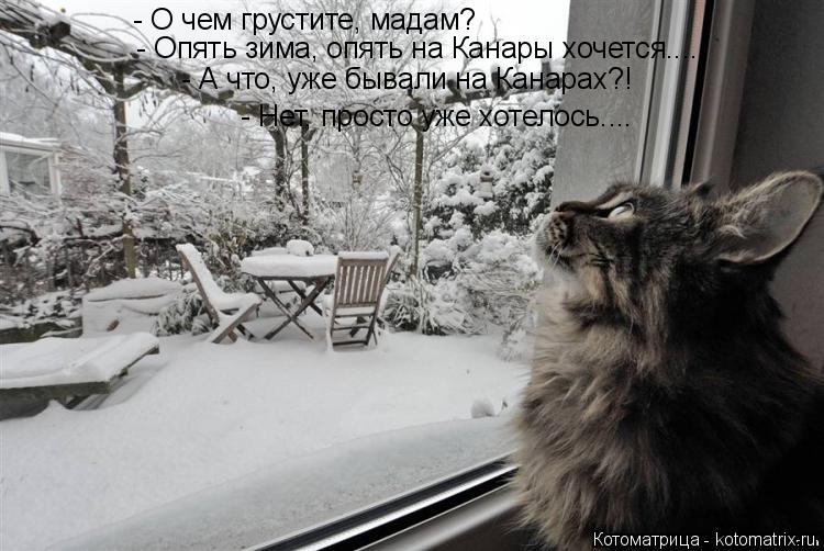- О чем грустите, мадам? - Опять зима, опять на Канары хочется.... - А что, уже бывали на Канарах?! -... Котоматрица: - О чем грустите, мадам? - Опять зима, опять на Канары хочется.... - А что, уже бывали на Канарах?! - Нет, просто уже хотелось....