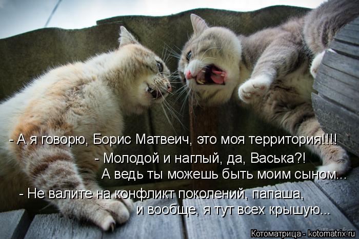 - А я говорю, Борис Матвеич, это моя территория!!!! - Молодой и наглый, да, Васька?! А ведь ты можешь... Котоматрица: - А я говорю, Борис Матвеич, это моя территория!!!! - Молодой и наглый, да, Васька?! А ведь ты можешь быть моим сыном... - Не валите на конфликт поко