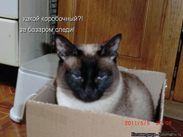 какой коробочный?! за базаром следи!... Котоматрица: какой коробочный?! за базаром следи!