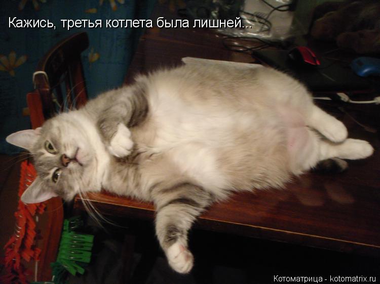 Кажись, третья котлета была лишней...... Котоматрица: Кажись, третья котлета была лишней...