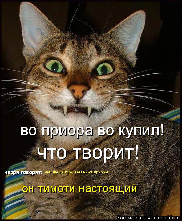 во приора во купил! что творит! незря говорят: чем выше горы тем ниже приоры он тимоти настоящий... Котоматрица: во приора во купил! что творит! незря говорят: чем выше горы тем ниже приоры он тимоти настоящий