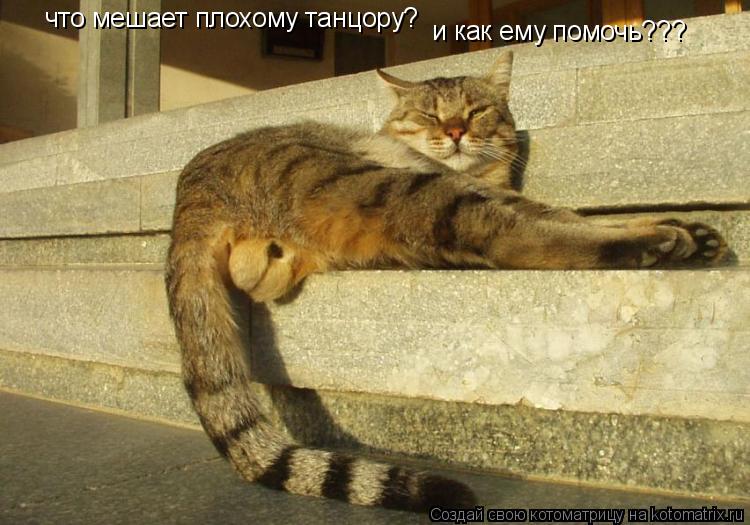что мешает плохому танцору? и как ему помочь???... Котоматрица: что мешает плохому танцору? и как ему помочь???