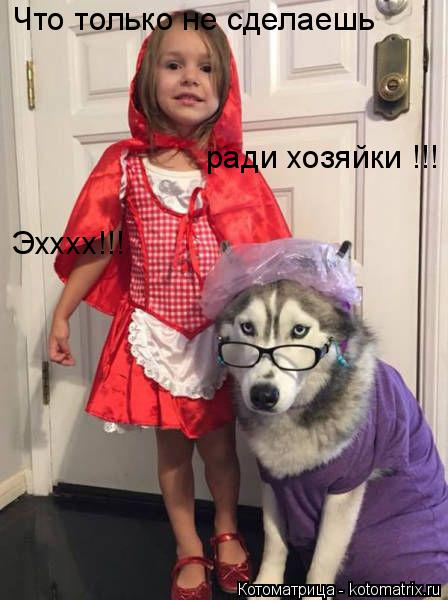 Что только не сделаешь Что только не сделаешь ради хозяйки !!! Эхххх!!!... Котоматрица: Что только не сделаешь Что только не сделаешь ради хозяйки !!! Эхххх!!!