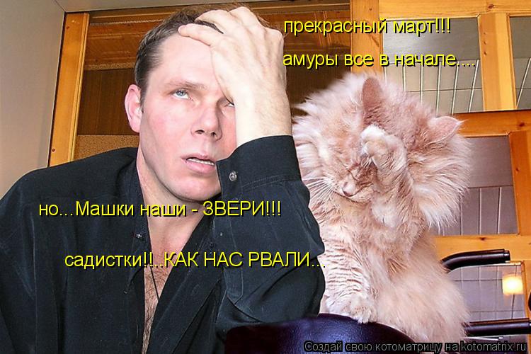 садистки!!..КАК НАС РВАЛИ... но...Машки наши - ЗВЕРИ!!! прекрасный март!!! амуры все в начале....... Котоматрица: садистки!!..КАК НАС РВАЛИ... но...Машки наши - ЗВЕРИ!!! прекрасный март!!! амуры все в начале....