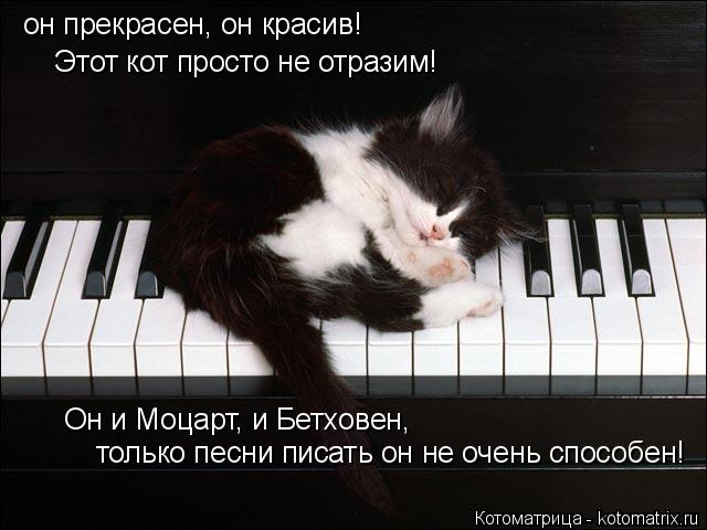 Котоматрица: он прекрасен, он красив! Этот кот просто не отразим! Он и Моцарт, и Бетховен, только песни писать он не очень способен!