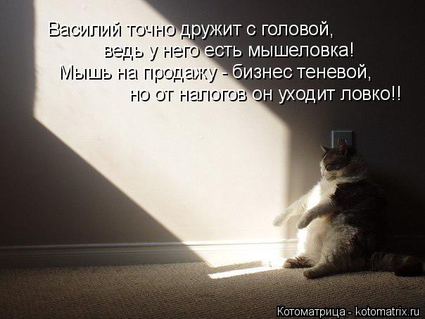 Василий точно дружит с головой, ведь у него есть мышеловка! Мышь на продажу - бизнес теневой, но от н... Котоматрица: Василий точно дружит с головой, ведь у него есть мышеловка! Мышь на продажу - бизнес теневой, но от налогов он уходит ловко!!