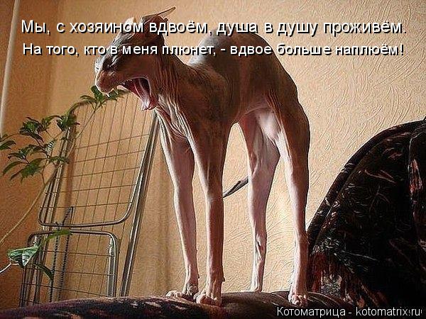 Мы, с хозяином вдвоём, душа в душу проживём. На того, кто в меня плюнет, - вдвое больше наплюём!... Котоматрица: Мы, с хозяином вдвоём, душа в душу проживём. На того, кто в меня плюнет, - вдвое больше наплюём!