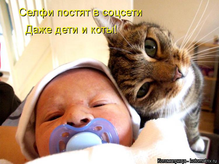 Селфи постят в соцсети Даже дети и коты!... Котоматрица: Селфи постят в соцсети Даже дети и коты!