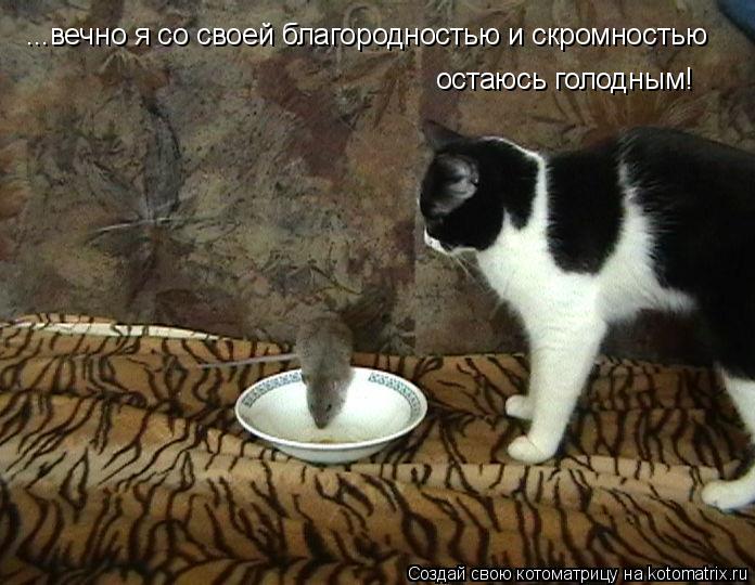 ...вечно я со своей благородностью и скромностью остаюсь голодным!... Котоматрица: ...вечно я со своей благородностью и скромностью остаюсь голодным!