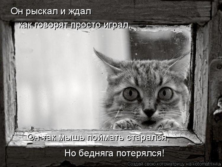 Он рыскал и ждал как говорят просто играл, Он так мышь поймать старался, Но бедняга потерялся!... Котоматрица: Он рыскал и ждал как говорят просто играл, Он так мышь поймать старался, Но бедняга потерялся!