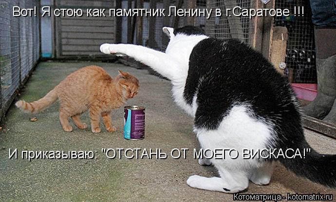 Вот! Я стою как памятник Ленину в г.Саратове !!! И приказываю: "ОТСТАНЬ ОТ МОЕГО ВИСКАСА!"... Котоматрица: Вот! Я стою как памятник Ленину в г.Саратове !!! И приказываю: "ОТСТАНЬ ОТ МОЕГО ВИСКАСА!"