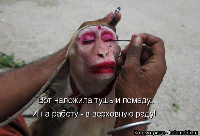 Вот наложила тушь и помаду.... И на работу - в верховную раду!... Котоматрица: Вот наложила тушь и помаду.... И на работу - в верховную раду!