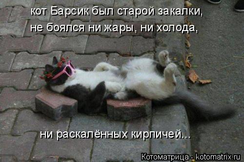 кот Барсик был старой закалки, не боялся ни жары, ни холода, ни раскалённых кирпичей...... Котоматрица: кот Барсик был старой закалки, не боялся ни жары, ни холода, ни раскалённых кирпичей...