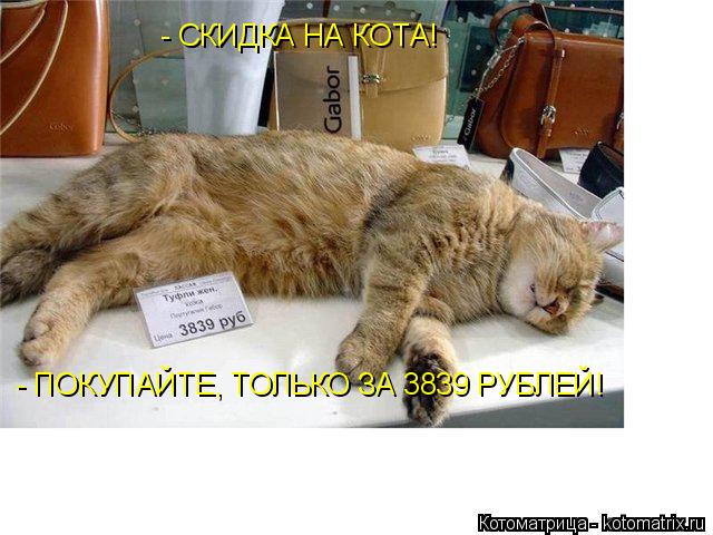 - ПОКУПАЙТЕ, ТОЛЬКО ЗА 3839 РУБЛЕЙ! - СКИДКА НА КОТА!... Котоматрица: - ПОКУПАЙТЕ, ТОЛЬКО ЗА 3839 РУБЛЕЙ! - СКИДКА НА КОТА!