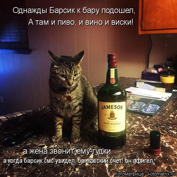 Однажды Барсик к бару подошел, А там и пиво, и вино и виски! а жена звонит ему-гудки. а когда барсик ... Котоматрица: Однажды Барсик к бару подошел, А там и пиво, и вино и виски! а жена звонит ему-гудки. а когда барсик смс увидел, банковский счет! он афигел