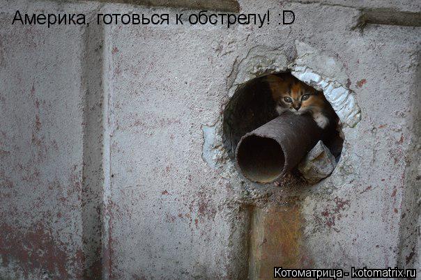 Америка, готовься к обстрелу! :D... Котоматрица: Америка, готовься к обстрелу! :D