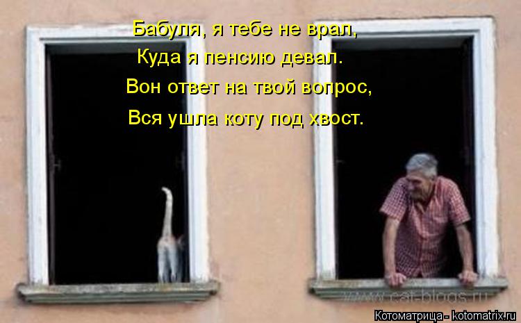 Бабуля, я тебе не врал, Куда я пенсию девал. Вон ответ на твой вопрос, Вся ушла коту под хвост.... Котоматрица: Бабуля, я тебе не врал, Куда я пенсию девал. Вон ответ на твой вопрос, Вся ушла коту под хвост.