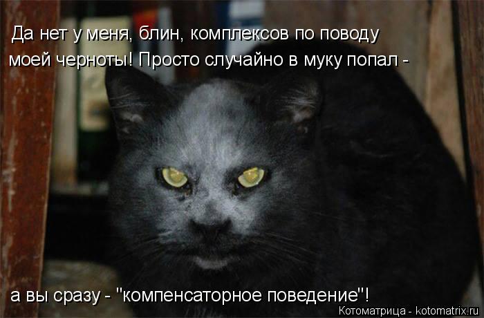 Да нет у меня, блин, комплексов по поводу моей черноты! Просто случайно в муку попал - а вы сразу - ... Котоматрица: Да нет у меня, блин, комплексов по поводу моей черноты! Просто случайно в муку попал - а вы сразу - "компенсаторное поведение"!