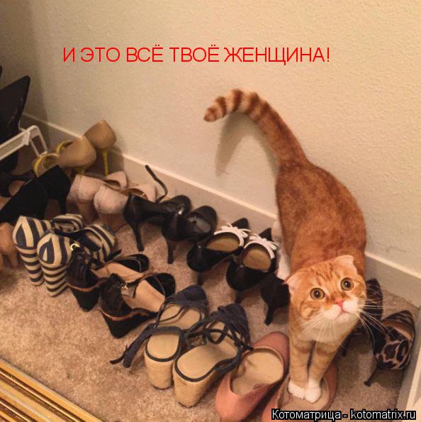 И ЭТО ВСЁ ТВОЁ ЖЕНЩИНА!... Котоматрица: И ЭТО ВСЁ ТВОЁ ЖЕНЩИНА!