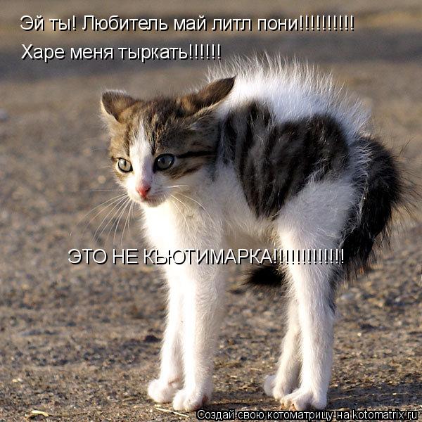 Эй ты! Любитель май литл пони!!!!!!!!!! Харе меня тыркать!!!!!! ЭТО НЕ КЬЮТИМАРКА!!!!!!!!!!!!!... Котоматрица: Эй ты! Любитель май литл пони!!!!!!!!!! Харе меня тыркать!!!!!! ЭТО НЕ КЬЮТИМАРКА!!!!!!!!!!!!!