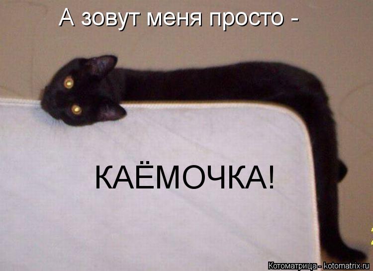 А зовут меня просто - КАЁМОЧКА!... Котоматрица: А зовут меня просто - КАЁМОЧКА!