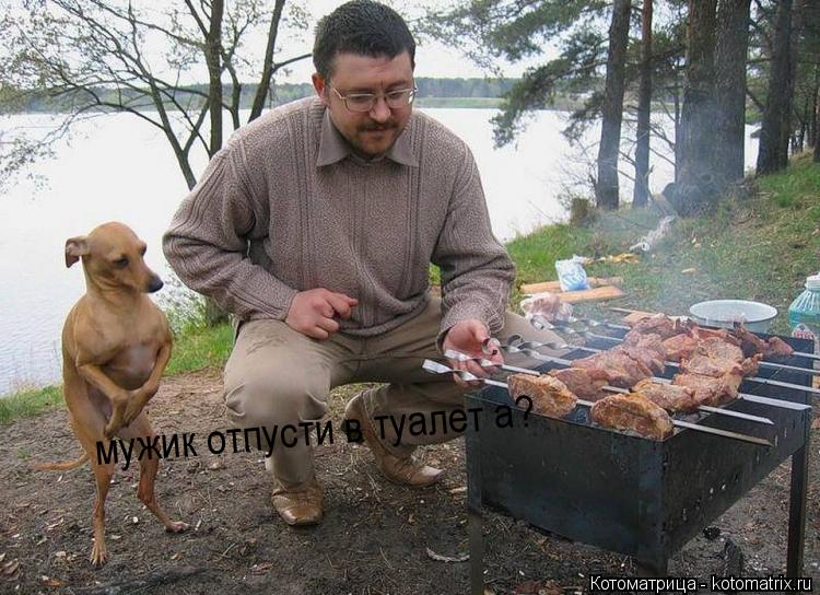 мужик отпусти в туалет а?... Котоматрица: мужик отпусти в туалет а?
