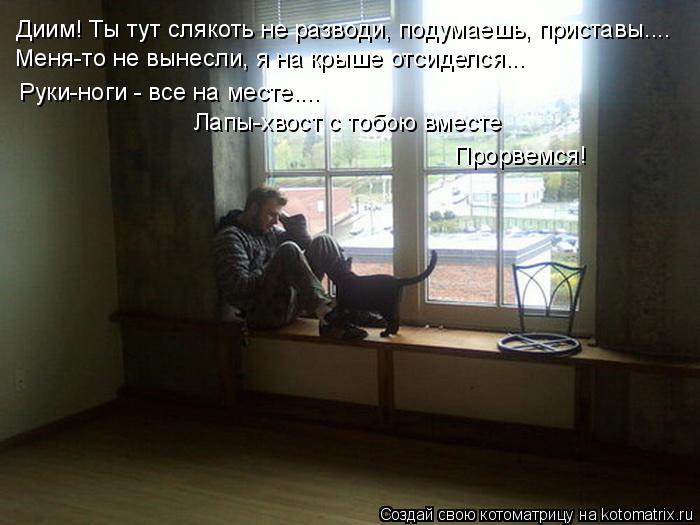 Диим! Ты тут слякоть не разводи, подумаешь, приставы.... Меня-то не вынесли, я на крыше отсиделся... ... Котоматрица: Диим! Ты тут слякоть не разводи, подумаешь, приставы.... Меня-то не вынесли, я на крыше отсиделся... Руки-ноги - все на месте.... Лапы-хвост с тобою