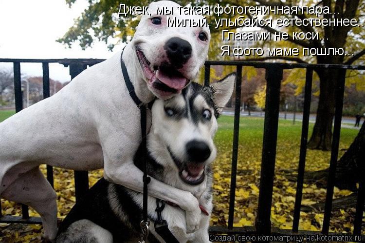 Джек, мы такая фотогеничная пара... Милый, улыбайся естественнее.... Глазами не коси... Я фото маме п... Котоматрица: Джек, мы такая фотогеничная пара... Милый, улыбайся естественнее.... Глазами не коси... Я фото маме пошлю...
