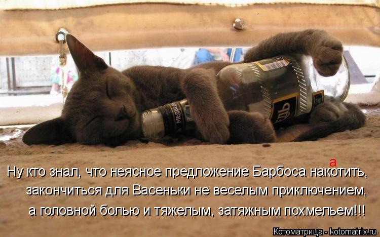 закончиться для Васеньки не веселым приключением, а головной болью и тяжелым, затяжным похмельем!!! Н... Котоматрица: закончиться для Васеньки не веселым приключением, а головной болью и тяжелым, затяжным похмельем!!! Ну кто знал, что неясное предложение Бар