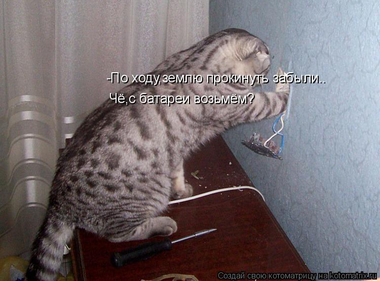 -По ходу,землю прокинуть забыли.. Чё,с батареи возьмём?... Котоматрица: -По ходу,землю прокинуть забыли.. Чё,с батареи возьмём?