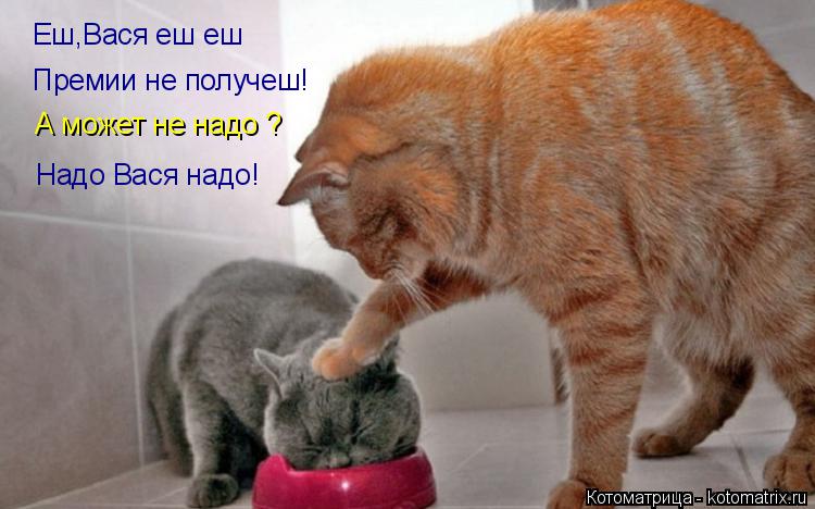 Еш,Вася еш еш Премии не получеш! А может не надо ? Надо Вася надо!... Котоматрица: Еш,Вася еш еш Премии не получеш! А может не надо ? Надо Вася надо!