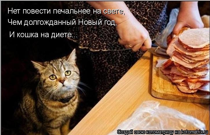 Нет повести печальнее на свете, Чем долгожданный Новый год, И кошка на диете...... Котоматрица: Нет повести печальнее на свете, Чем долгожданный Новый год, И кошка на диете...