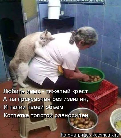 Любить иных - тяжелый крест А ты прекрасная без извилин, И талии твоей объем Котлетке толстой равноси... Котоматрица: Любить иных - тяжелый крест А ты прекрасная без извилин, И талии твоей объем Котлетке толстой равносилен.