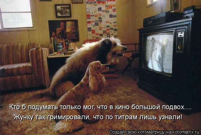Котоматрица: Кто б подумать только мог, что в кино большой подвох.... Жучку так гримировали, что по титрам лишь узнали!