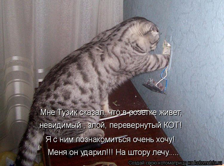 Мне Тузик сказал, что в розетке живет, невидимый , злой, перевернутый КОТ! Меня он ударил!!! На штору... Котоматрица: Мне Тузик сказал, что в розетке живет, невидимый , злой, перевернутый КОТ! Меня он ударил!!! На штору лечу..... Я с ним познакомиться очень хочу!
