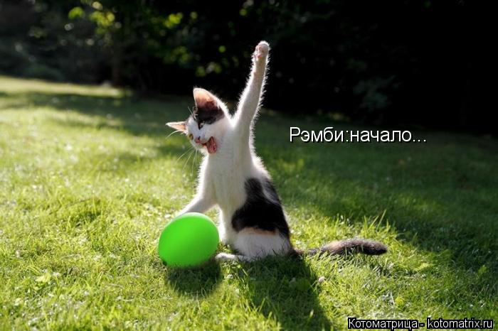 Котоматрица: Рэмби:начало...