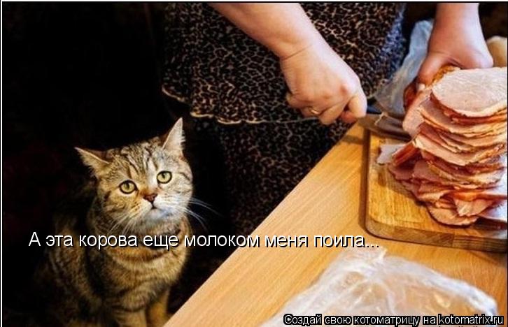 А эта корова еще молоком меня поила...... Котоматрица: А эта корова еще молоком меня поила...
