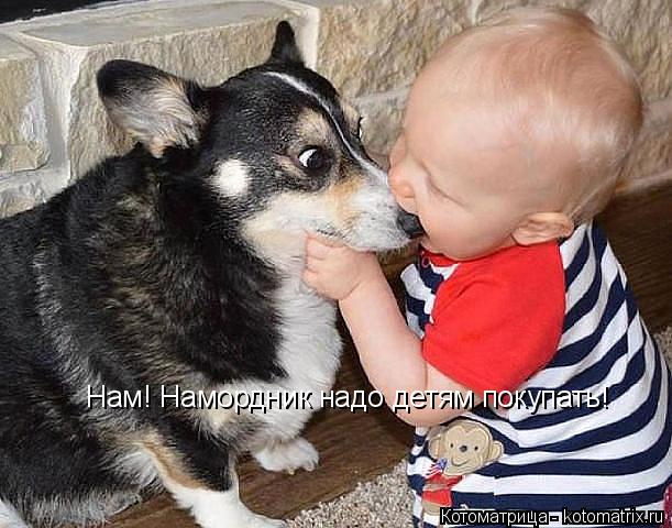 Нам! Намордник надо детям покупать!... Котоматрица: Нам! Намордник надо детям покупать!