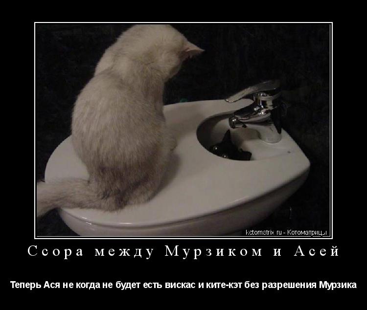 Ссора между Мурзиком и Асей Теперь Ася не когда не будет есть вискас и ките-кэт без разрешения Мурзик... Котоматрица: Ссора между Мурзиком и Асей Теперь Ася не когда не будет есть вискас и ките-кэт без разрешения Мурзика