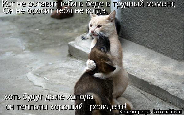 Кот не оставит тебя в беде в трудный момент, Он не бросит тебя не когда, хоть будут даже холода, он ... Котоматрица: Кот не оставит тебя в беде в трудный момент, Он не бросит тебя не когда, хоть будут даже холода, он теплоты хороший президент!