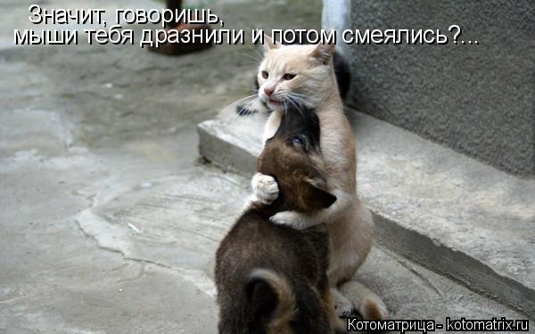 Значит, говоришь, мыши тебя дразнили и потом смеялись?...... Котоматрица: Значит, говоришь, мыши тебя дразнили и потом смеялись?...