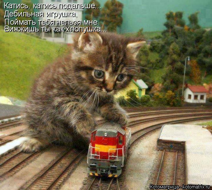 Катись, катись подальше... Дебильная игрушка, Поймать тебя нельзя мне Вижжишь ты как хлопушка...... Котоматрица: Катись, катись подальше... Дебильная игрушка, Поймать тебя нельзя мне Вижжишь ты как хлопушка...