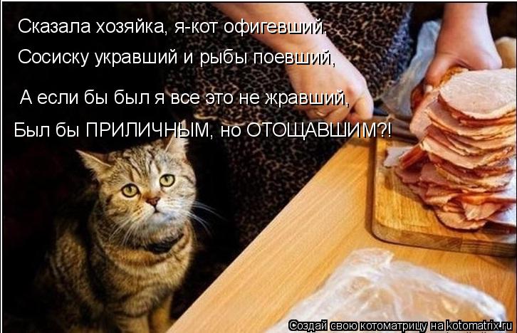 Сказала хозяйка, я-кот офигевший, Сосиску укравший и рыбы поевший, А если бы был я все это не жравший... Котоматрица: Сказала хозяйка, я-кот офигевший, Сосиску укравший и рыбы поевший, А если бы был я все это не жравший, Был бы ПРИЛИЧНЫМ, но ОТОЩАВШИМ?!