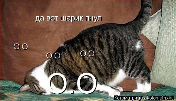 да вот шарик пнул О.О О.О О.О О.О... Котоматрица: да вот шарик пнул О.О О.О О.О О.О